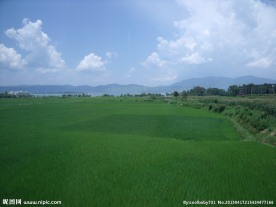 平原