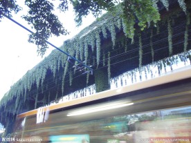 绿色的高速路