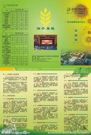 大学招生三折页