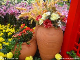百花争春