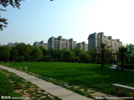 石家庄国际城槐北公园