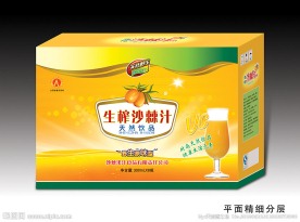 沙棘汁包装箱展开