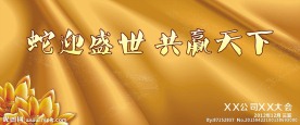 会议背景