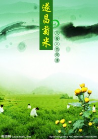 遂昌菊米健康文化宣传