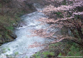 自然 山水 河流