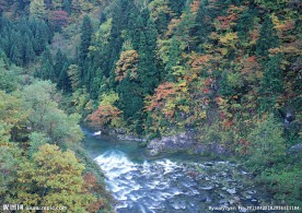 自然 山水 河流