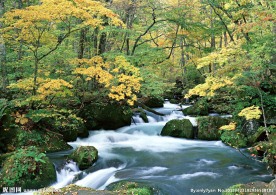 自然 山水 河流