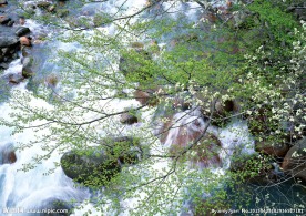 自然 山水 河流
