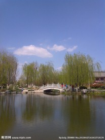 水面 风景