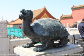 太和殿前瑞兽神龟