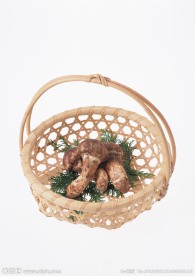 野生菌