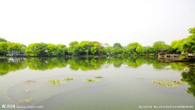 西湖风景