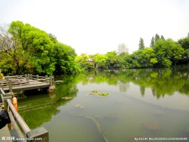 西湖风景