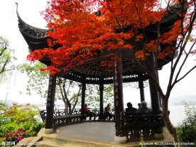 西湖风景
