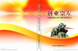 创业崇左封面设计