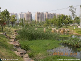 杨府山公园内