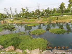杨府山公园内景