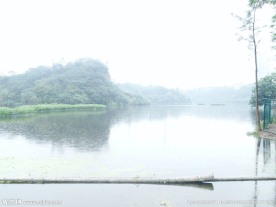 湖泊中的小岛