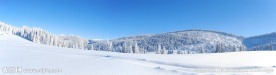 冰天雪地