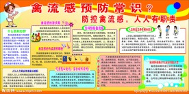 禽流感预防常识