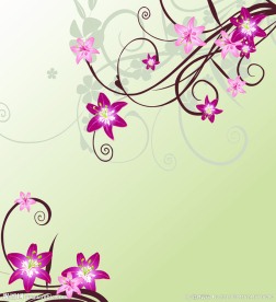 百合 花纹