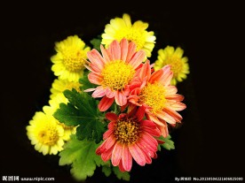 小花
