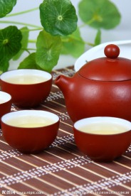 茶 铁观音