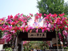 旅游景区花卉装饰