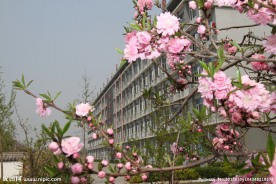 花园式校园
