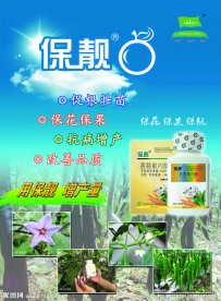 保靓宣传单
