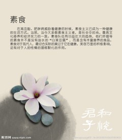 素食主义宣传彩页