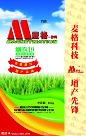 小麦包装