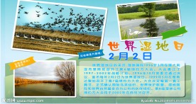 世界湿地日
