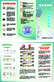 人禽流感宣传页