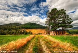 新西兰乡下风光