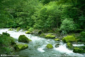 小溪流水