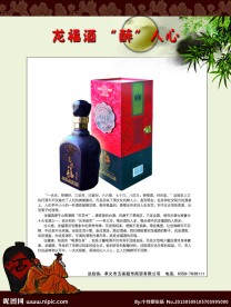 龙福酒宣传彩页