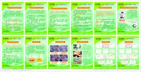 医院健康指南