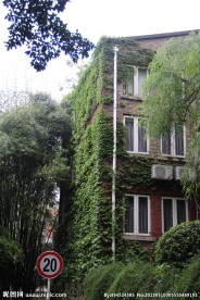 川美建筑