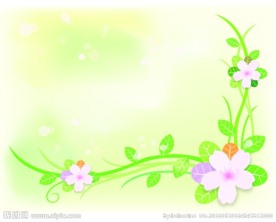 精美矢量花纹背景