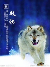 敏锐 企业文化