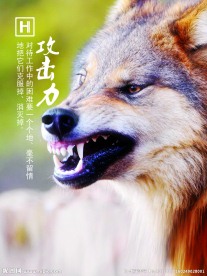 攻击力 企业文化