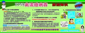 H7N9禽流感预防