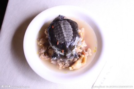 甲鱼炖土鸡