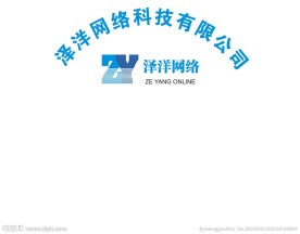 泽洋网络LOGO