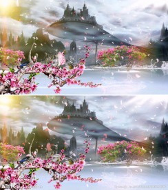美丽仙境视频