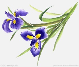 百合花