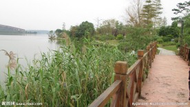 松山湖