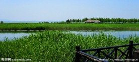 湿地公园