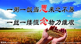 节约粮食海报